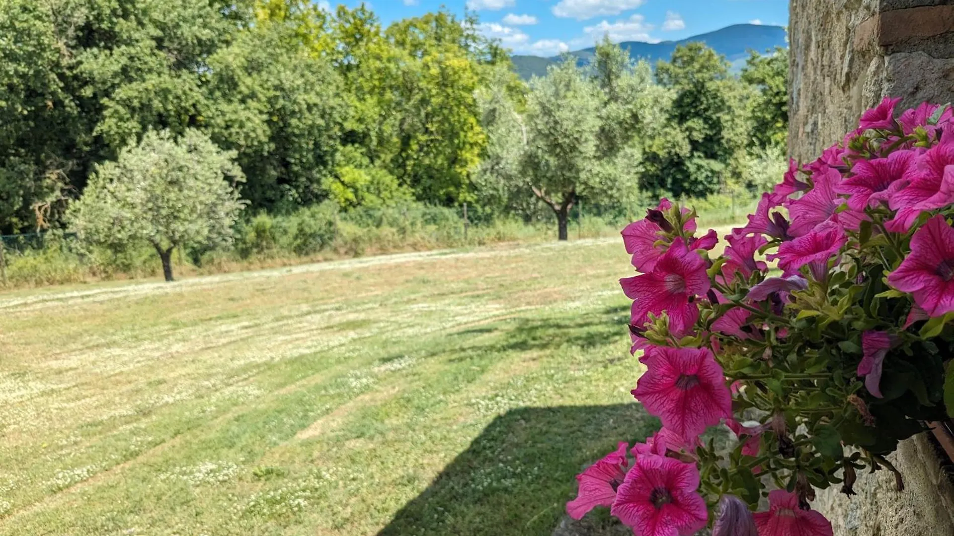 Holiday home Agriturismo Le Ville Lano