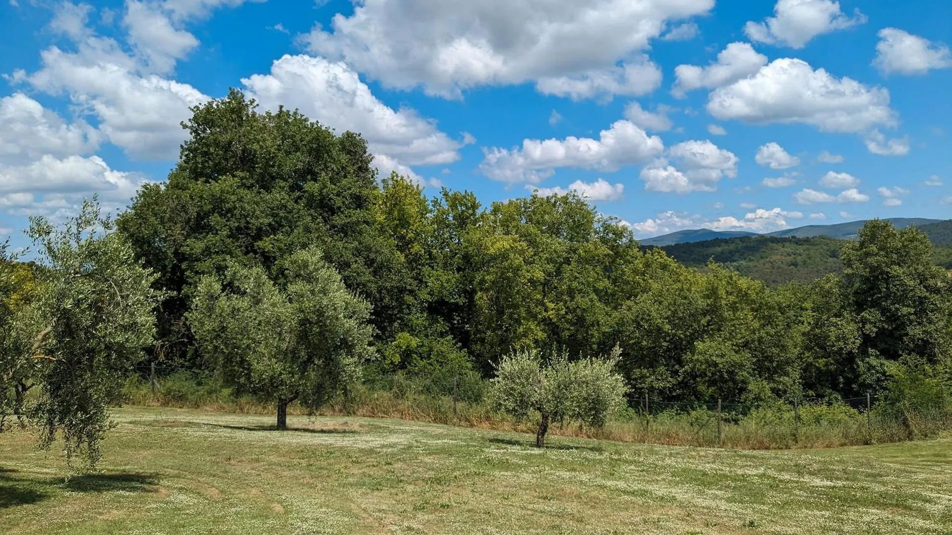 Agriturismo Le Ville Lano Holiday home