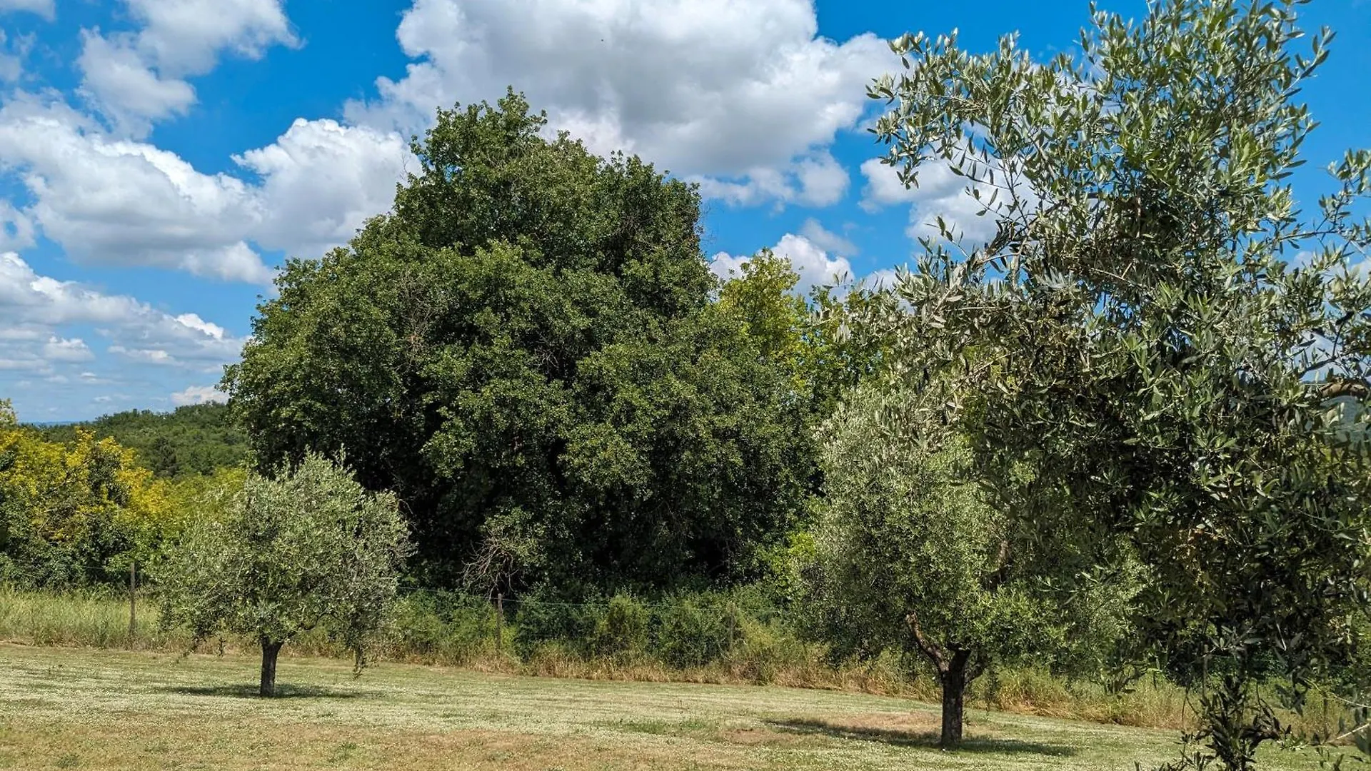 Holiday home Agriturismo Le Ville Lano